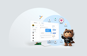 spirehubs-Salesforce-Help-Desk-and-Support